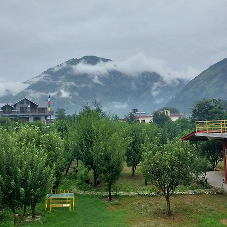 Gazing Moon Homestay Shamshi Εξωτερικό φωτογραφία